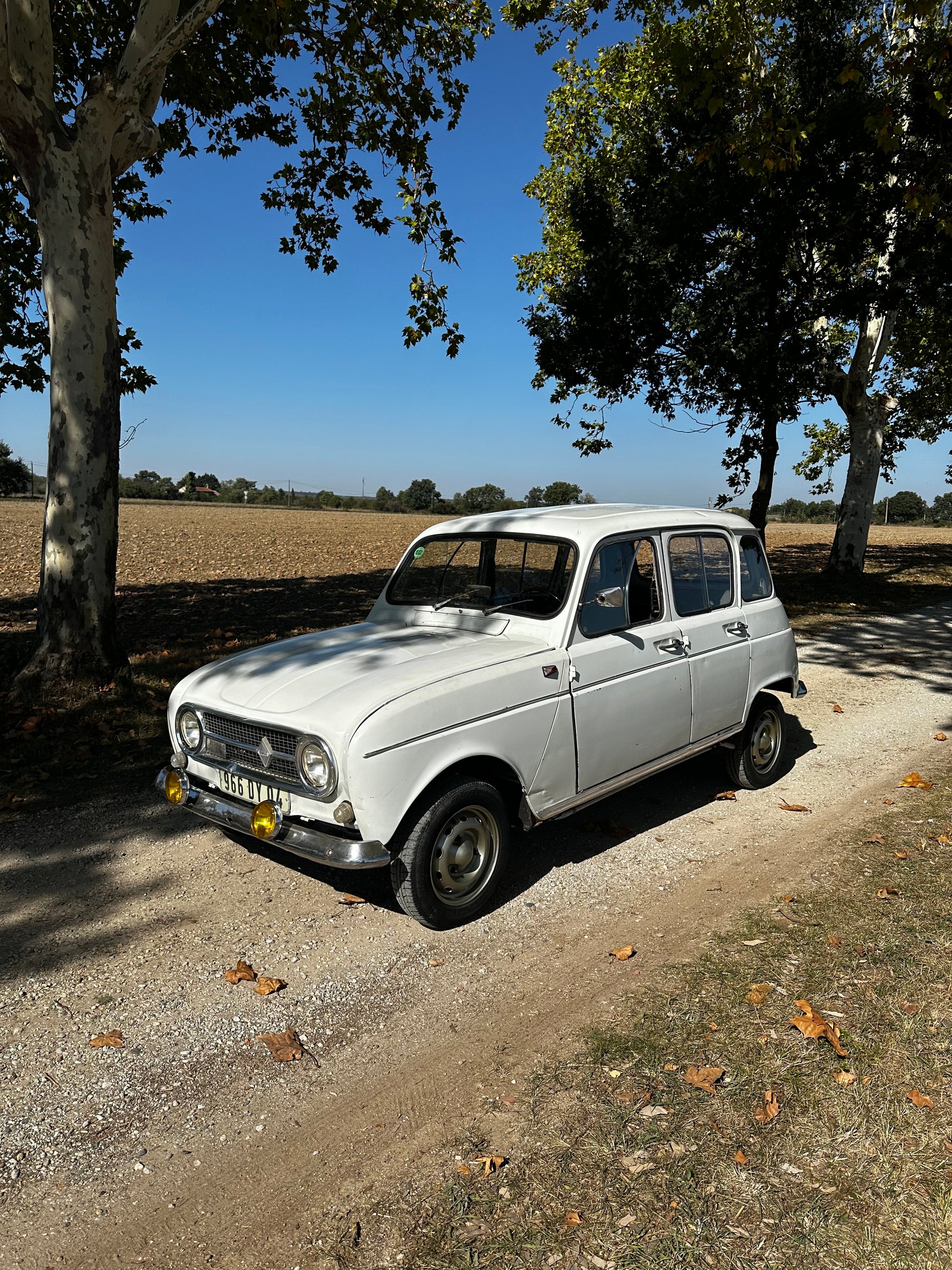 Renault 4L Sinpar 1973